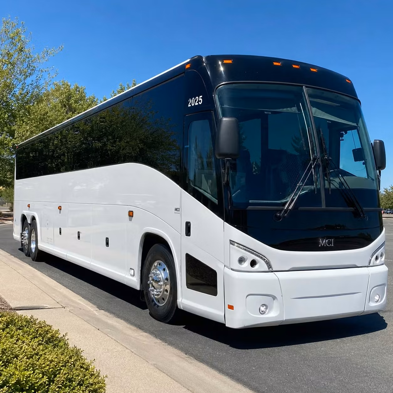 what to expect when booking a youth group or mission trip bus in shoreline